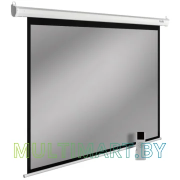 Проекционный экран CACTUS SIlverMotoExpert 150x240 (CS-PSSME-240X150-DG)